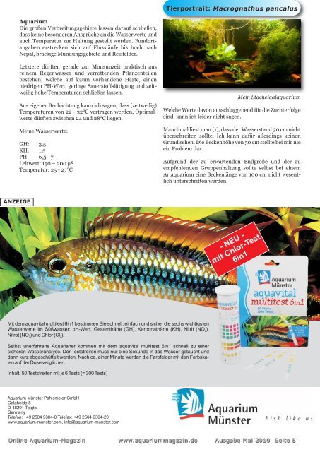 Online Aquarium-Magazin Mai 2010 - Die Wirbellosen