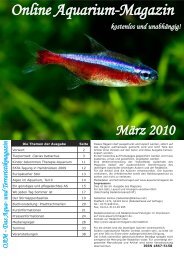 OAM Ausgabe März 2010 - Online Aquariummagazin