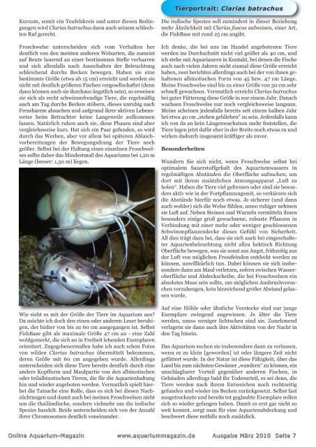 OAM Ausgabe März 2010 - Online Aquariummagazin