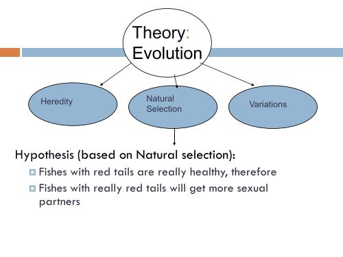 Theory testing