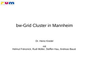 bw-Grid Cluster in Mannheim - KRUM Server