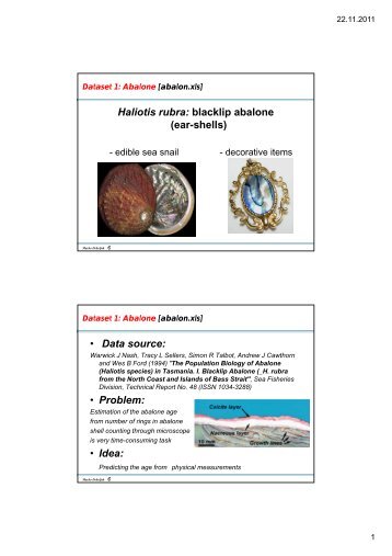 Haliotis rubra: blacklip abalone (ear-shells) • Data source: • Problem ...