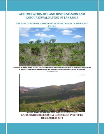 accumulation by land dispossession and labor ... - Land Portal
