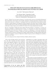 TwO NEw SPECiES Of TeAGUeIA - LANKESTERIANA .:. Lankester ...