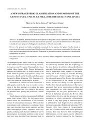 A NEW INFRAGENERIC CLASSIFICATION AND SyNOPSIS OF THE ...