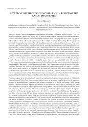 how many orchid species in costa rica? a review of the ... - Epidendra