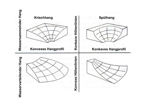 Kriechhang Konkaves Hangprofil Konvexes Hangprofil Spulhang