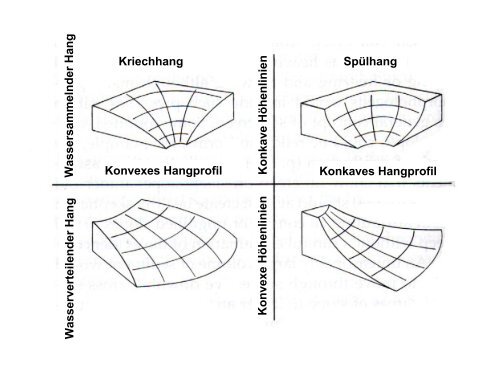 Kriechhang Konkaves Hangprofil Konvexes Hangprofil Spülhang ...