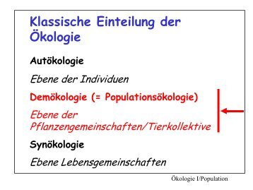 Strukturelemente von Populationen