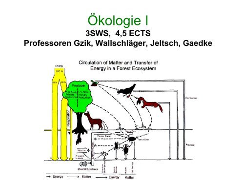 Ökologie I Autökologie Prof. Gzik.pdf