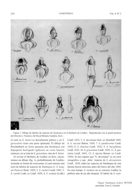 VOL. 4, NO. 3 - Lankesteriana - Universidad de Costa Rica