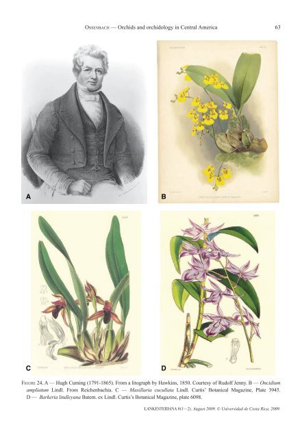 orchids and orchidology in central america. 500 ... - lankesteriana.org