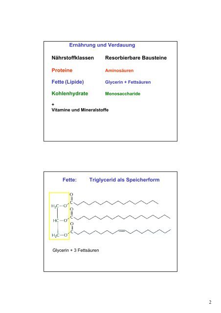 Organe und Organsysteme