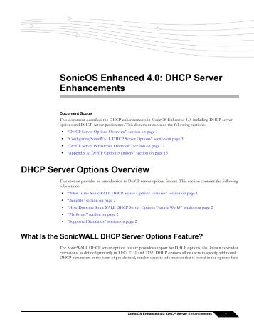 DHCP Server Enhancements - SonicWALL
