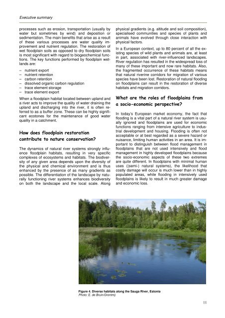 HOW TO USE FLOODPLAINS FOR FLOOD RISK ... - SGGW