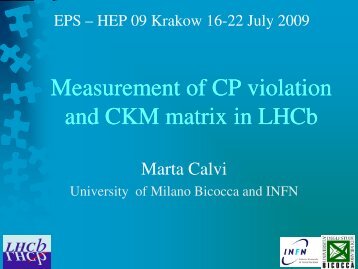 Measurement of CP violation and CKM matrix in LHCb