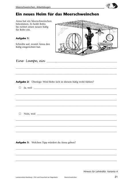 Meerschweinchen, Beobachten - Landesinstitut für Lehrerbildung ...