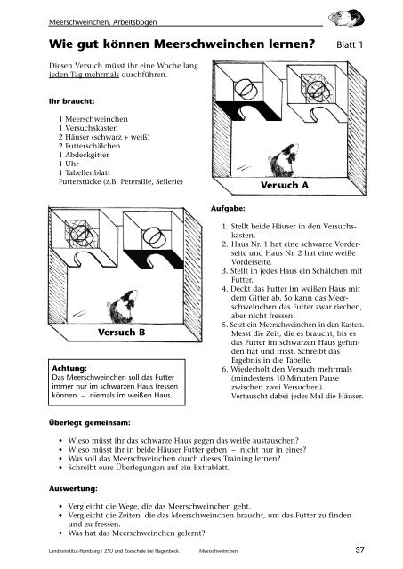 Meerschweinchen, Beobachten - Landesinstitut für Lehrerbildung ...