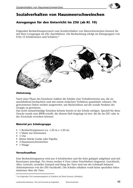 Meerschweinchen, Beobachten - Landesinstitut für Lehrerbildung ...