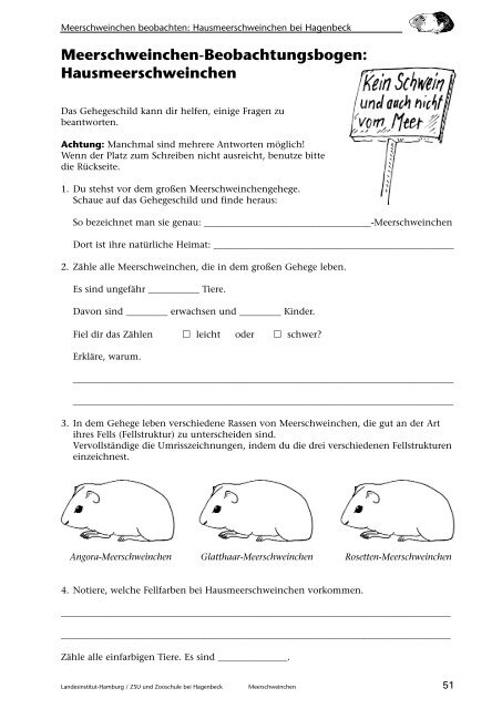 Meerschweinchen, Beobachten - Landesinstitut für Lehrerbildung ...