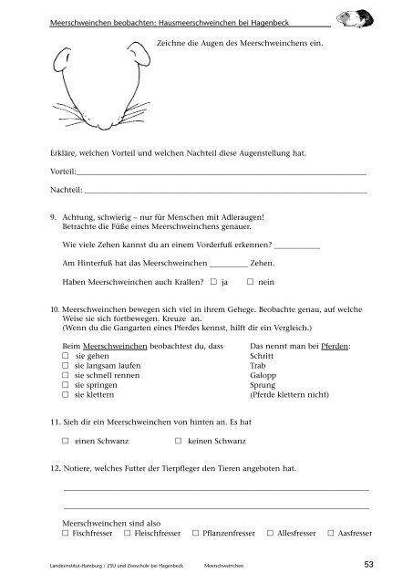 Meerschweinchen, Beobachten - Landesinstitut für Lehrerbildung ...