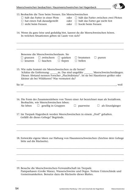 Meerschweinchen, Beobachten - Landesinstitut für Lehrerbildung ...