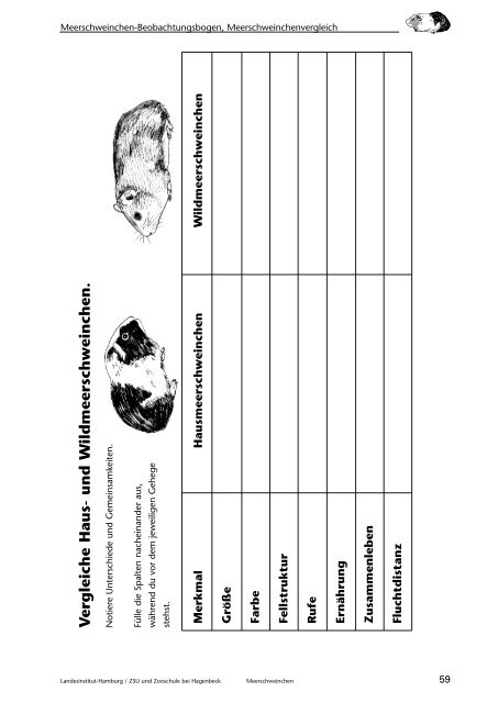 Meerschweinchen, Beobachten - Landesinstitut für Lehrerbildung ...