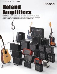 Roland Amp Catalog 2010