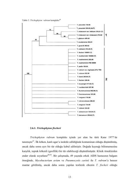 Mentagrophytes - Çukurova Üniversitesi