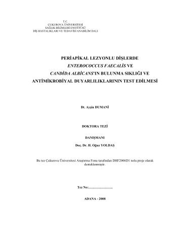 periapikal lezyonlu dişlerde enterococcus faecalis ve candida ...