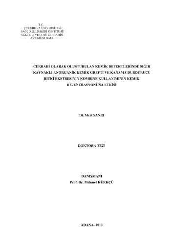 1 cerrahi olarak oluşturulan kemik defektlerinde sığır kaynaklı ...