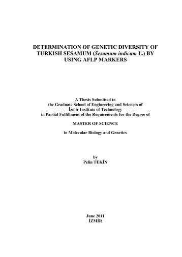 DETERMINATION OF GENETIC DIVERSITY OF ... - Kütüphane