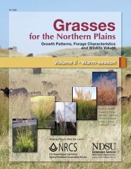 Grasses for the Northern Plains - North Dakota State Library