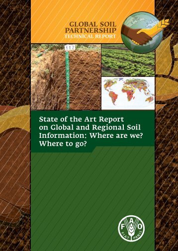 State of the Art Report on Global and Regional Soil Information ...