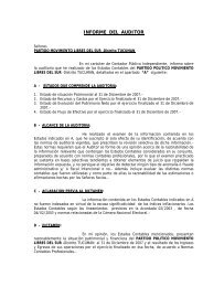 Estados Contable-part.pol_. DICTAMEN 2007--corregido sin form.pdf