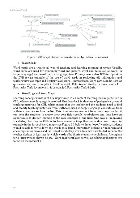 Language in content instruction - LICI Project