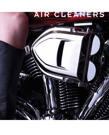 AIR CLEANERS - Lidor.pl