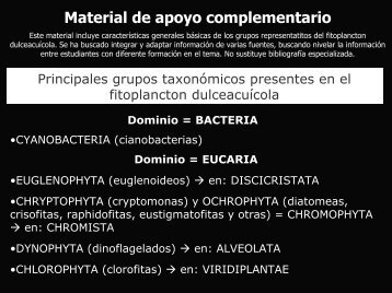 Material de apoyo complementario