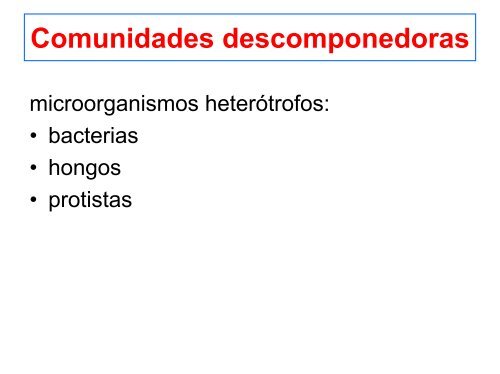 microorganismos heterótrofos