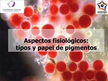 Clase-Pigmentos-FITO2010