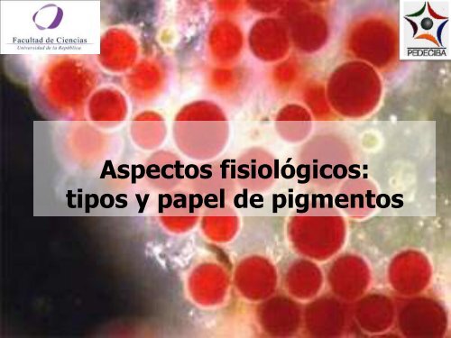 Clase-Pigmentos-FITO2010