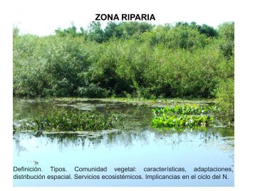 ZONA RIPARIA (McDowell 2009)