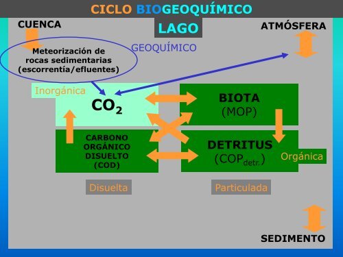 Carbono orgánico