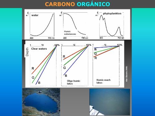 Carbono orgánico
