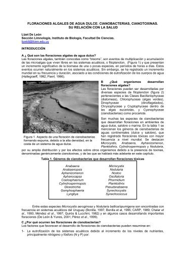 floraciones algales de agua dulce: cianobacterias, cianotoxinas.