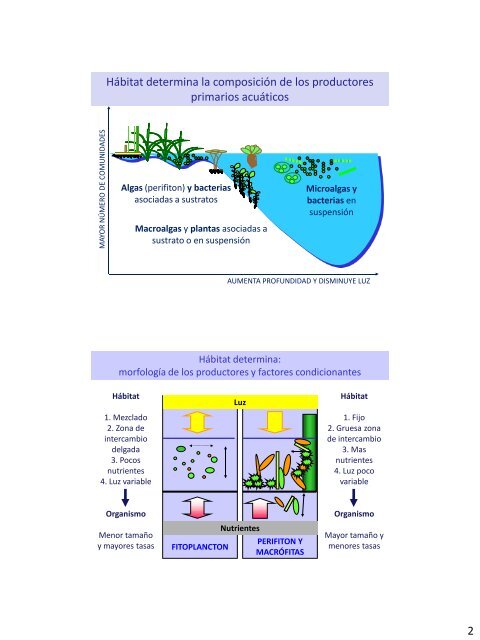 1) Energía y ciclos biogeoquímicos 2) Dinámica de comunidades 3 ...