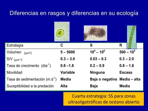 Clase-ensamblaje-comunitario-FITO2010