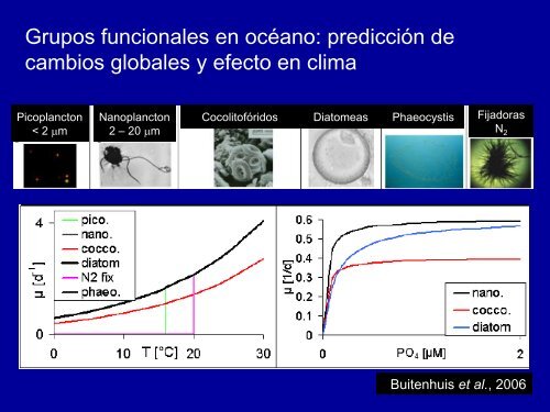 Clase-ensamblaje-comunitario-FITO2010