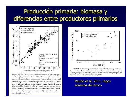 Producción primaria