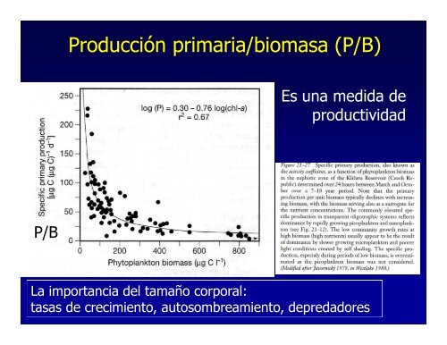 Producción primaria